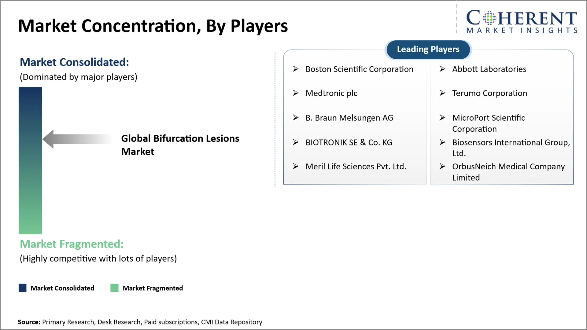 Bifurcation Lesions Market